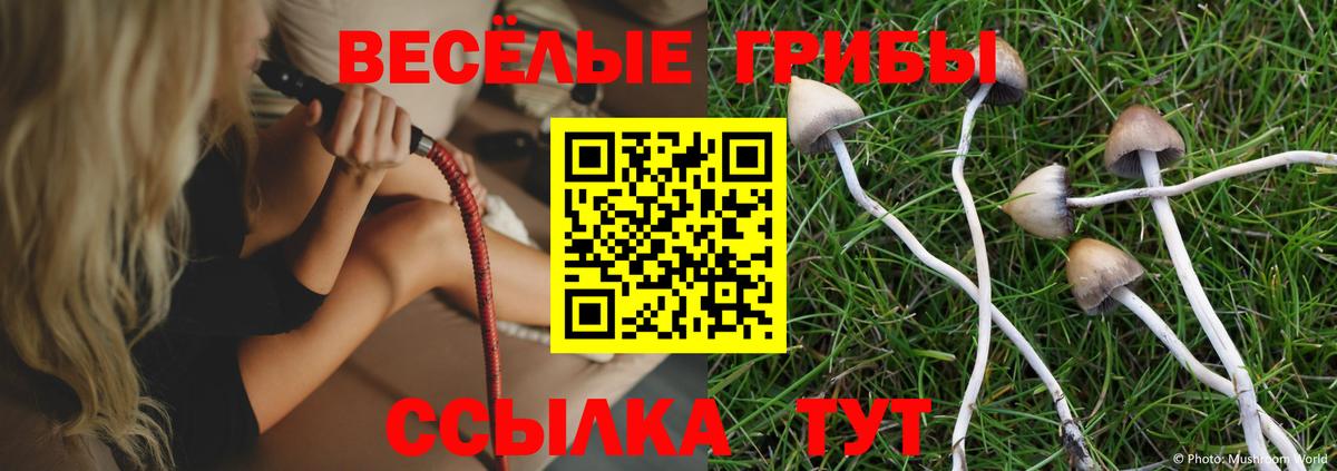 Ростов Великий  Псилоцибиновые грибы GOLDEN TEACHER  Вход с VPN  Галлюциногенные грибы прущие грибы 