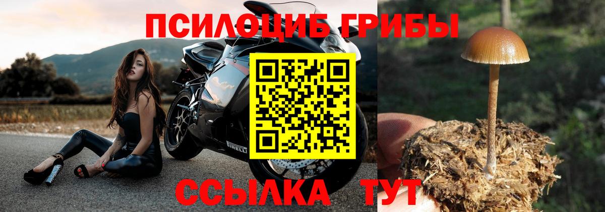 Галлюциногенные грибы ЛСД Ростов Великий